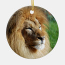 Suche nach der löwe ornamente Jede person