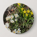 Suche nach narzissen blumen buttons Für alle