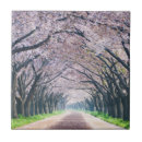 Suche nach kirschbaum untersetzer Frühling