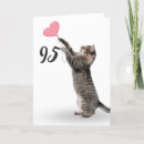 Suche nach graue tabbykatze Jede person