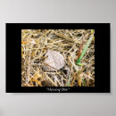 Suche nach tau poster Natur