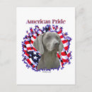 Suche nach weimaraner hund postkarten Rasse