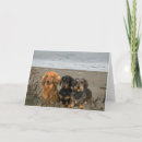 Suche nach dackeln karten Hund