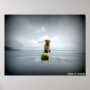 Suche nach ball poster Strand