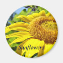 Suche nach sommer blumen magnete Sonnenblumen