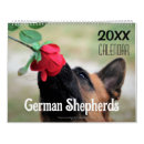 Suche nach schäfer büro zubehör Hund