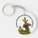 Suche nach bischof accessoires California