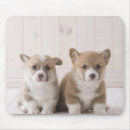 Suche nach zwei tiere mousepads Natur