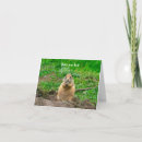 Suche nach präriehund karten Süß
