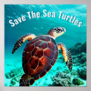 Suche nach lebende poster Schildkröten