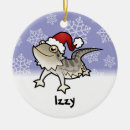 Suche nach drache cartoon ornamente Eidechse