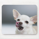 Suche nach lecken sie mousepads Hund