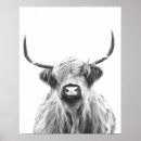 Suche nach hochlandkuh poster Jede person