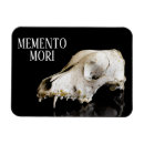Suche nach anatomie magnete Knochen