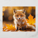Suche nach glücklicher fuchs postkarten Tier