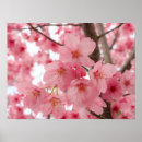Suche nach rosa haus poster Zuhause