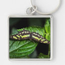 Suche nach motte schlüsselanhänger Grün