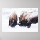 Suche nach buffet poster Fotografie