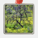 Suche nach eichen ornamente Wald
