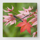 Suche nach ahornblatt wanduhren Herbst