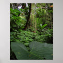 Suche nach regenwald poster Hawaii