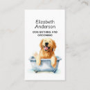 Suche nach retriever visitenkarten Welpe
