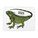 Suche nach iguana magnete Mexiko