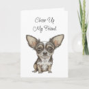 Suche nach niedlicher chihuahua karten Für alle