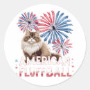 Suche nach american aufkleber 4 juli