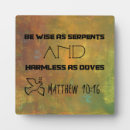 Suche nach matthew Neues testament