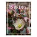 Suche nach knospen poster Für sie