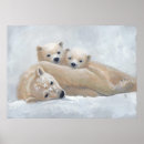 Suche nach arktis poster Natur