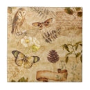 Suche nach insekten fliesen Modern