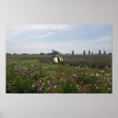 Suche nach lustige biene poster Honig