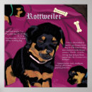 Suche nach hundeplakate poster Welpen