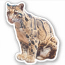Suche nach gepunktete katze aufkleber Tierwelt