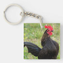 Suche nach rooster schlüsselanhänger Tier