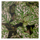 Suche nach rosa punkte fliesen Keramik