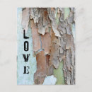 Suche nach baumrinde postkarten Natur