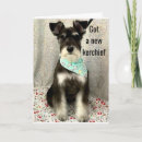 Suche nach schnauzer geburtstag karten Fotografie