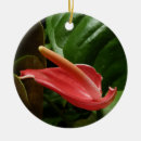Suche nach calla ornamente Jede person