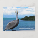 Suche nach florida keys postkarten Ozean