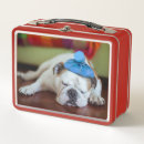 Suche nach bulldogge brotdosen Tiere
