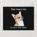 Suche nach niedlicher chihuahua postkarten Tier
