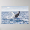 Suche nach riese riese poster Wild