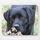 Suche nach labor mousepads Labrador retriever