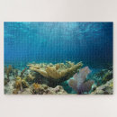 Suche nach korallenriff puzzle Unterwasser