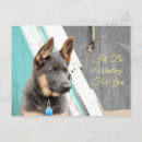 Suche nach deutscher schaferhund postkarten Welpe