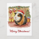 Suche nach cavy postkarten Niedlich