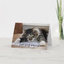 Suche nach wir werden dich vermissen karten Katze